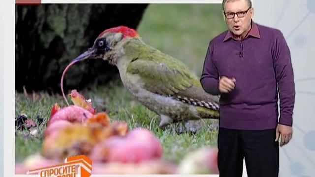 Спросите дядю Вову. Язык без костей смотреть онлайн