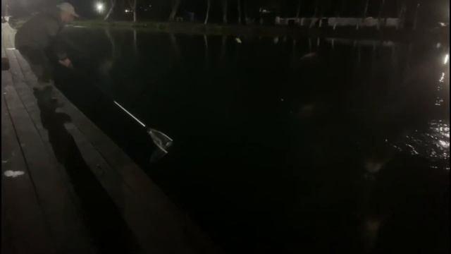 Верхний не отстает о Випа