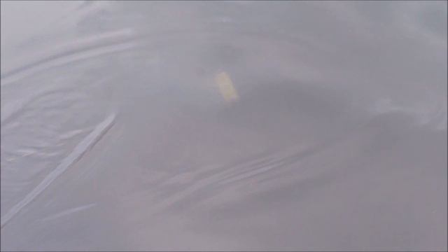 Джеркбейт Bubuka Racer смотреть онлайн