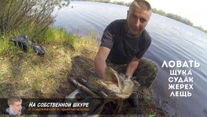 ★ Настоящая РЫБАЛКА. Река Ловать. Щука, Судак, Жерех, Лещь