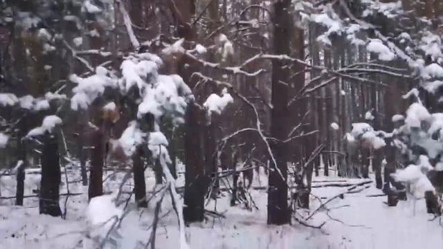 Тайна имени Игорь смотреть онлайн