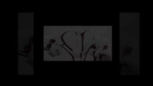 kerwprod - как большая и злая собака