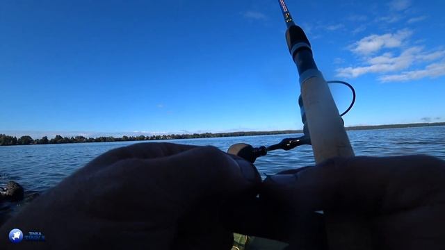 ЧТО ЗАСТАВИЛО РЫБУ УЙТИ С ДАМБЫ ЧИГИРИНСКОГО ВДХР? ОБЛАСТНЫЕ СОРЕВНОВАНИЯ ПО ПОПЛАВОЧНОЙ ЛОВЛЕ. смотреть онлайн