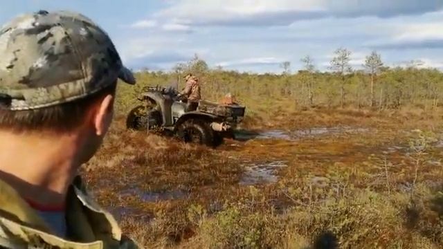 Болотоход Росомаха в Васюганском болоте смотреть онлайн