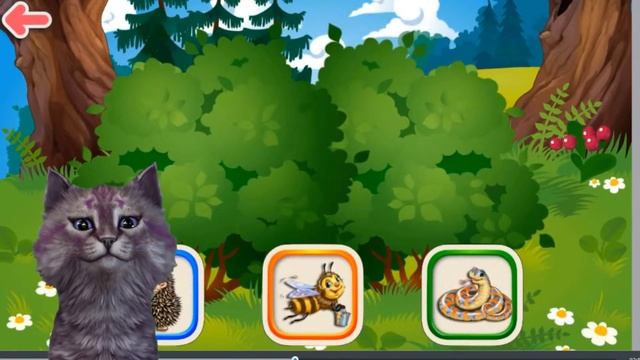 Кошка Лика изучает кто живет в лесу) Угадай кто за кустами) смотреть онлайн