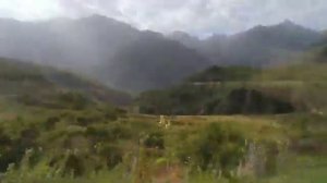 Кори Алишер  дар васфи модар