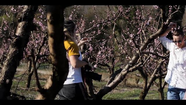 персиковые сады смотреть онлайн