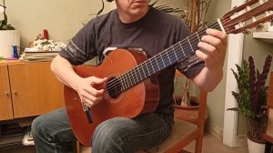 Eleanor Rigby by Lennon-McCartney - Arranged by Göran Söllscher - Carlo Orazzini guitar
