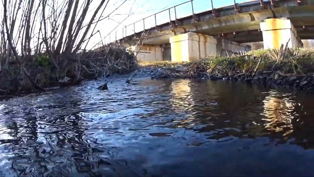 Велопоездка к истоку реки Осколец - выпуск 3 (рубрика Cruchano Pedalini Produkсьён). смотреть онлайн