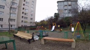 ?? Сочи.БЫТХА ЭТО ГДЕ ? СТОИТ ТУТ ЖИТЬ ИЛИ НЕТ И КТО ТУТ ЖИВЕТ ? Отдых в Сочи