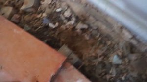 Ремонт пола в старом доме, за один один день