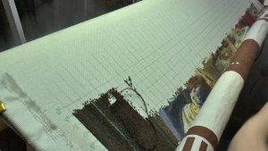 КРЕСТ или ПОЛУКРЕСТ? Что выбрать для вышивки многоцветки? Советы новичкам.