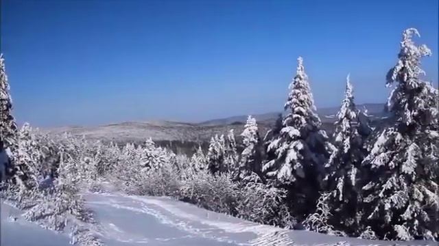 Самвел Адамян тайные желания, мама и её писка и матка \ Saveliy Ad, семья Адамян, grandenikо vlog смотреть онлайн