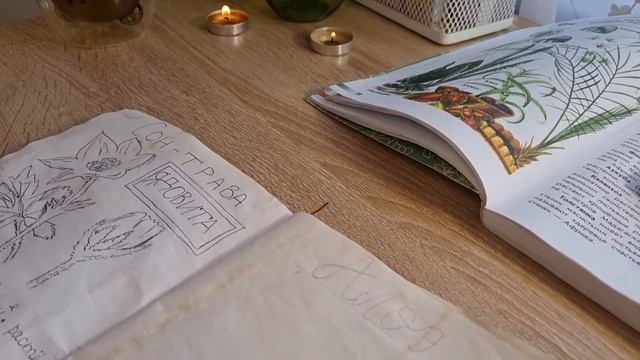 Оформление травника//Алоэ//"Новая рубрика" часть 2//♡ смотреть онлайн