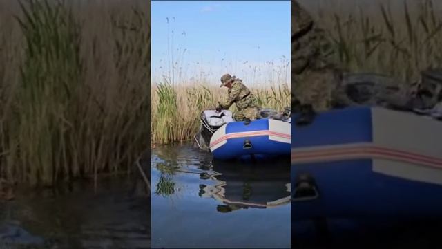 Дядь Саш не бойтесь 😅
Рыбалка на САЗАНА