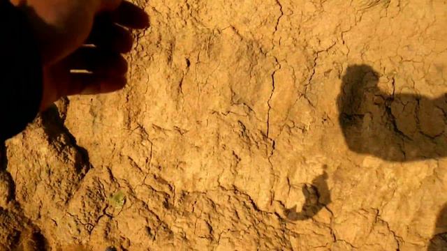 ЩУКА НА ОТВОДНОЙ ПОВОДОК / Жор ЩУКИ Летом. смотреть онлайн