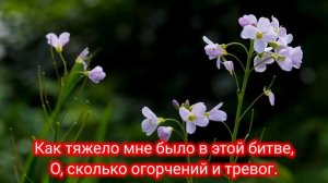 Душа тоскует в мире одиноко| Христианские песни| Christian songs| Beautiful nature