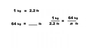 Grade 6: Converting Pounds to Kilograms