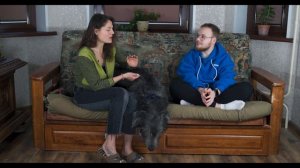 ИРЛАНДСКИЙ ВОЛКОДАВ| все о породе| личный опыт владения породой| САМАЯ БОЛЬШАЯ СОБАКА