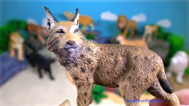 Big Cat Week - Zoo Animals - Lion Tiger Jaguar Cougar Cheetah Leopard Lynx Ocelot 13+ смотреть онлайн