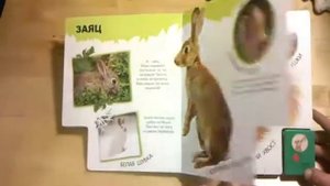 Про зайца трусишку