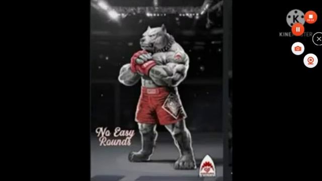 МОЯ ДИКАЯ КАССАНДРА "САМЫЕ КРУТЫЕ ЖИВОТНЫЕ смотреть онлайн