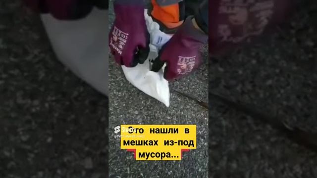 Это нашли в мешках из-под мусора..