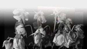 Порой не ценим, что имеем. Стих под музыку. Христианские слайды. Made by Vera Birak.