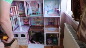 VLOG Они живут с нами! Домашние будни