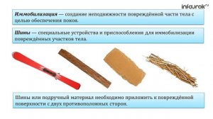 Ушибы и переломы. Транспортировка пострадавшего | Классные часы и ОБЖ #28 | Инфоурок