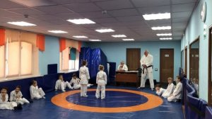 Белый пояс по карате-до