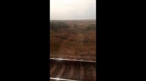 "Уезжаю" с группой ЧайФ