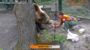 Лада кормит Мансура мёдом с ложки. [13.05.2021]