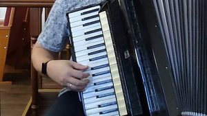 Феличита на Аккордеоне! Аккордеонист (аккордеон кавер)