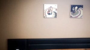 КРЫМ как снять жилье недорого.Евпатория и Севастополь квартиры в центре за смешную цену СЕЗОН 2022