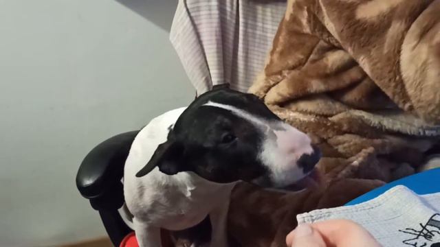 Утренний Чизкейк.