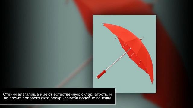 10 малоизвестных фактов о влагалище