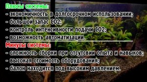 Углекислый газ в аквариуме. Считаем концентрацию. Методы подачи