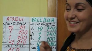 Как заработать на клубнике.Часть 1.Расчеты на 1 куст.