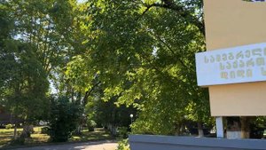 ГРУЗИЯ. СЕНАКИ И НЕМНОГО ПОТИ. САМЕГРЕЛО. НЕ ТУРИСТИЧЕСКИЕ МЕСТА СТРАНЫ #georgia #senaki #samegrelo