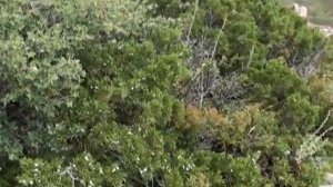 Горный массив 'Дегелен'