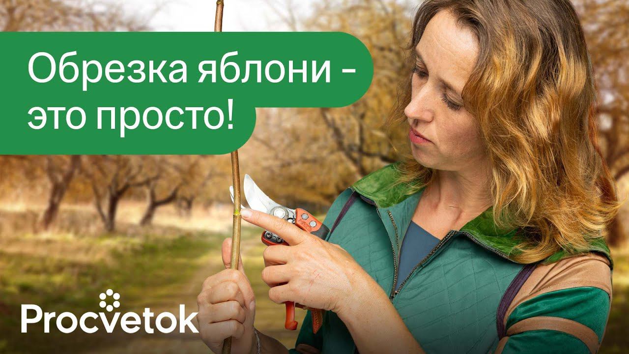 КАК ОБРЕЗАТЬ ЯБЛОНЮ ВЕСНОЙ? Детальная обрезка, которая будет понятна каждому!