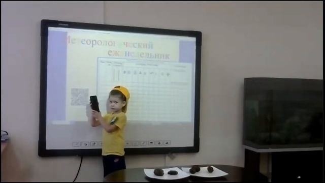 Областной конкурс "Эколята-дошколята"