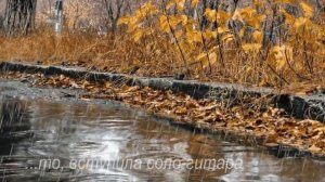 Листья желтые над городом кружаться - РЕМИКС