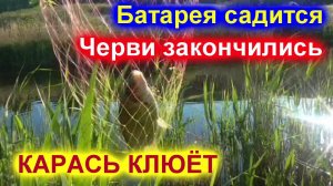 Классные поклёвки карася !!!