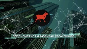 8 МЕСЯЦЕВ СТЕЛЬНОСТЬ   НЕТЕЛЬ ОСТАЕТЬСЯ на ферме  Продажа нетелей +79063333941