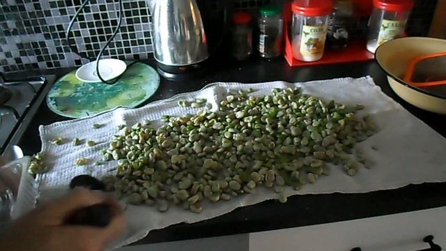 Рецепт заготовки зелёных бобов на зиму.