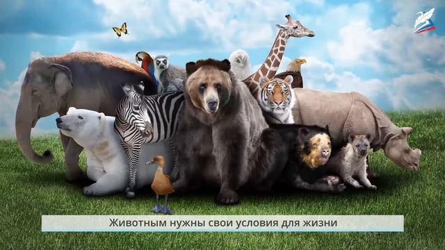 Урок 15 как живут растения и животные Окружающий мир 1 смотреть онлайн