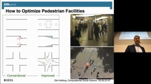 The Wonderful World of Pedestrians