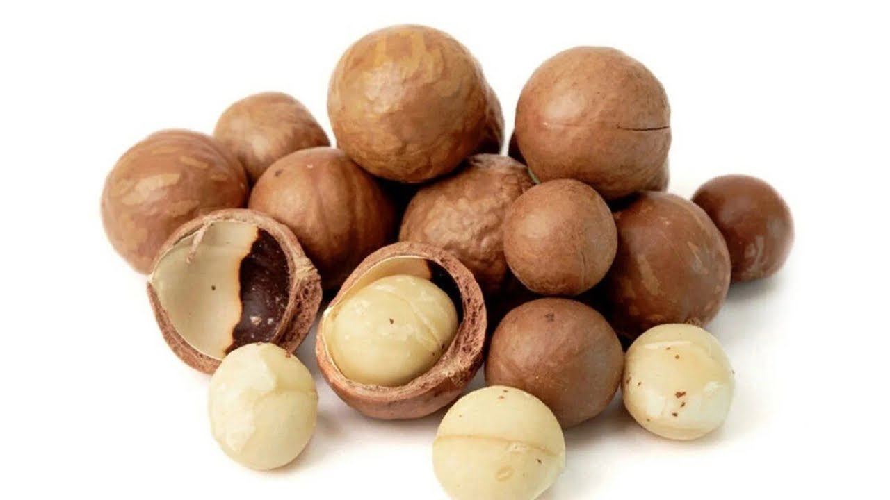 Секреты выращивания макадамии: как получают эту драгоценность в скорлупе смотреть онлайн